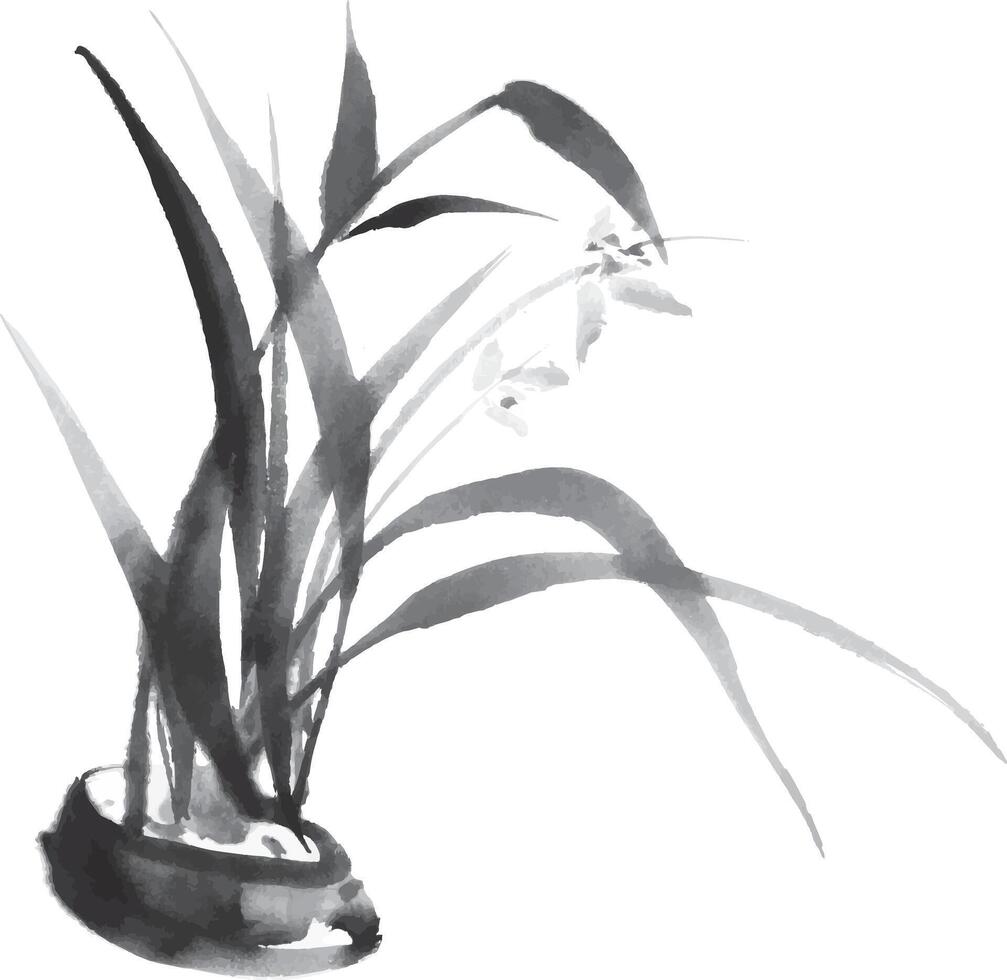Ink brushstroke painting grass leaves in a vase, monochrome on white background vector