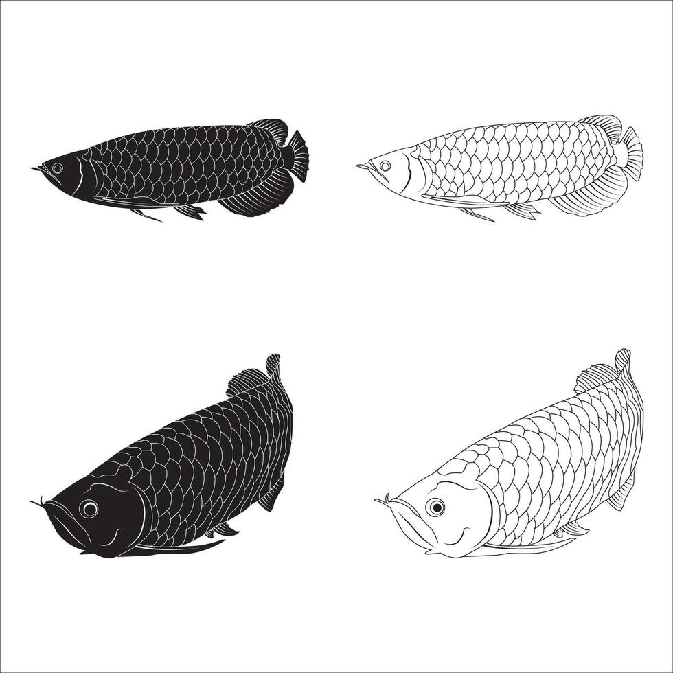 Arowana fish icon vector