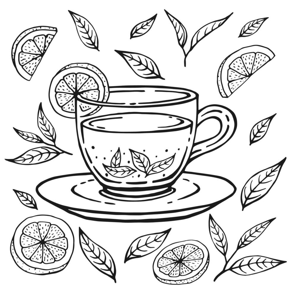 Set with glass cup tea, lemon slices, tea leaves. Hand drawn illustration in outline style. vector