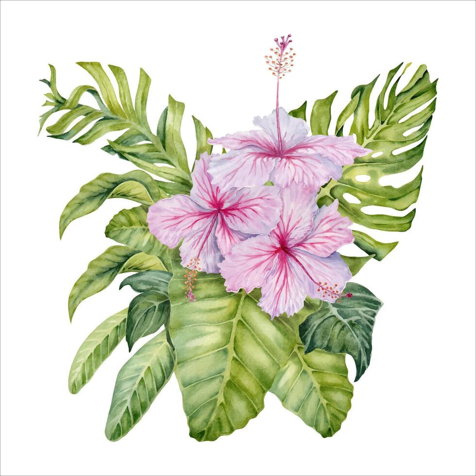 Hibiscus flowers with tropical green leaves composition. Watercolor isolated on white background. Natural botanical illustration with monstera, banana and palm for card designs, prints, invitations vector