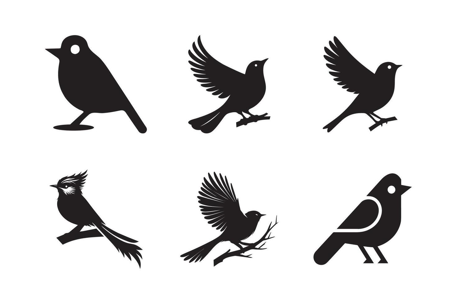 Set of silhouettes of birds illustration white background. vector