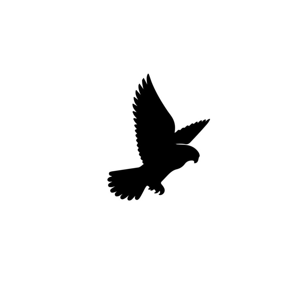 The Peregrine Falcon bird icon design. vector