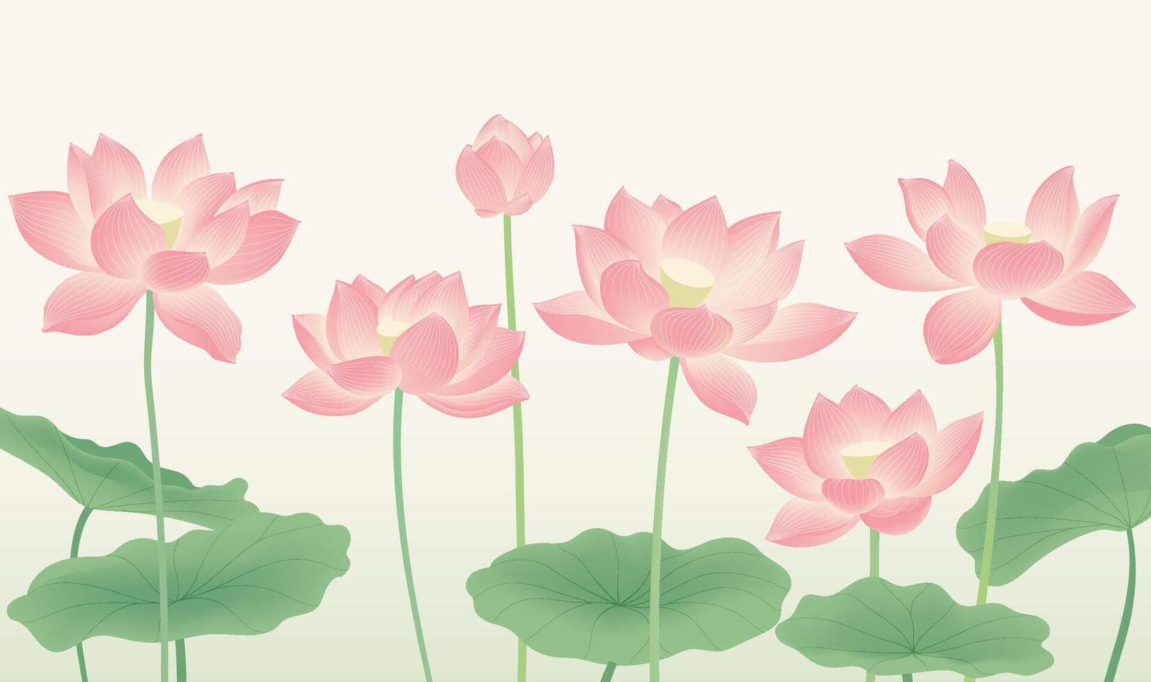 Horizontal version of the color lotus illustrations vector