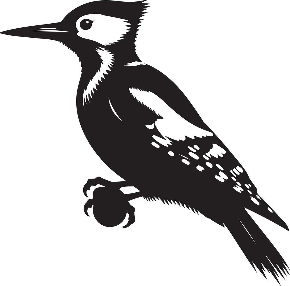 Woodpecker Silhouette Illustration vector