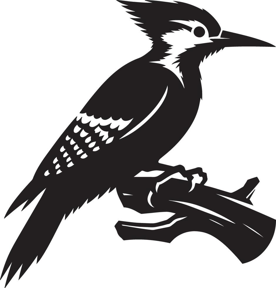 Woodpecker Silhouette Illustration vector