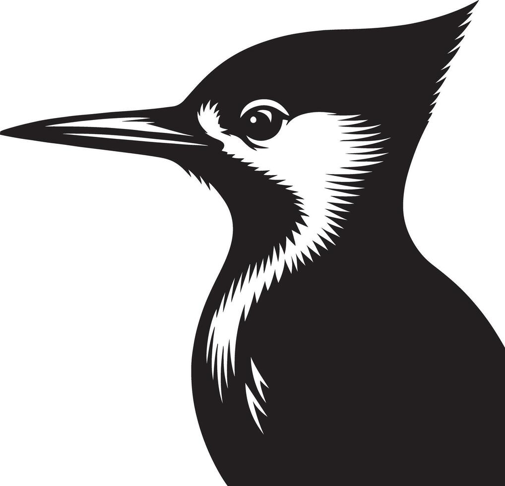 Woodpecker Silhouette Illustration vector