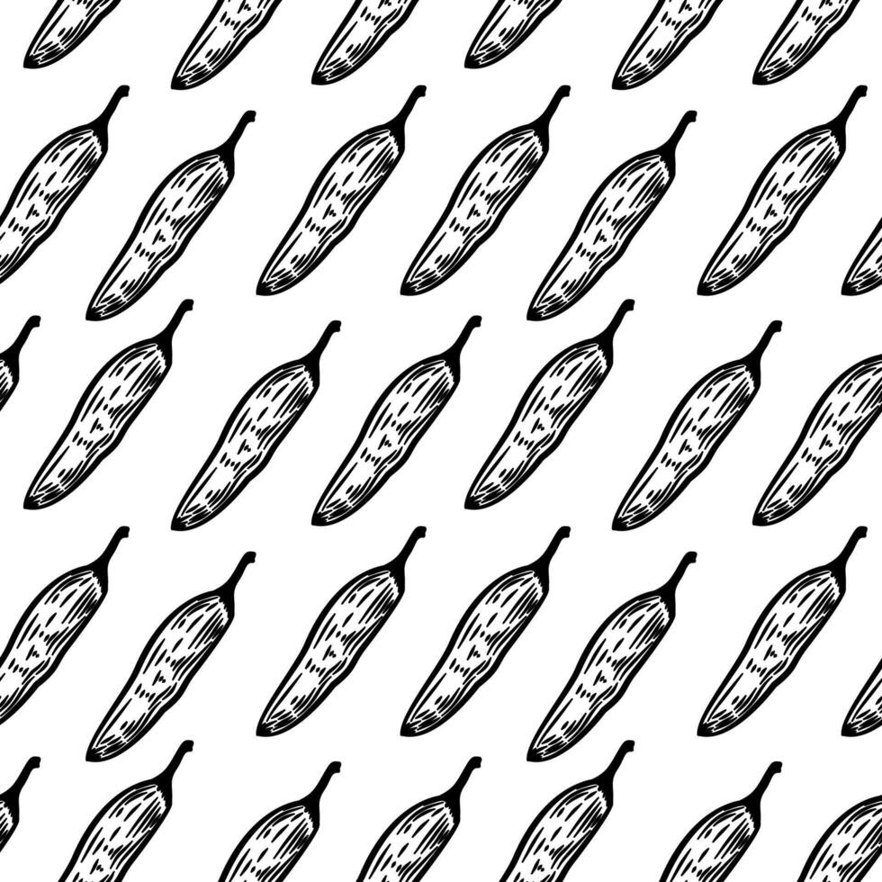 vintage Chili pattern for packaging design. chili peppers pattern background. vintage chili pepper seamless pattern background. doodle Spicy Pepper pattern. vector