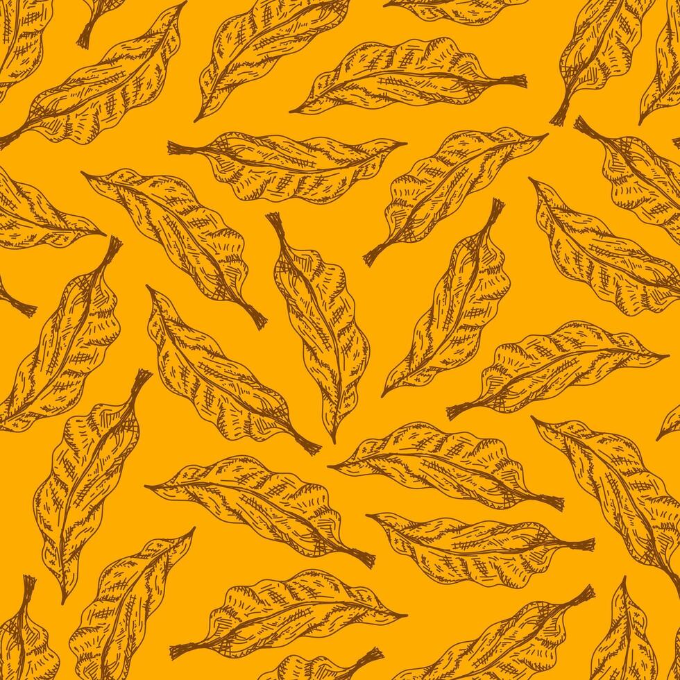 leaf pattern vintage. leaves pattern wallpaper. coffee leaf background. Abstract coffee leaves background. vector