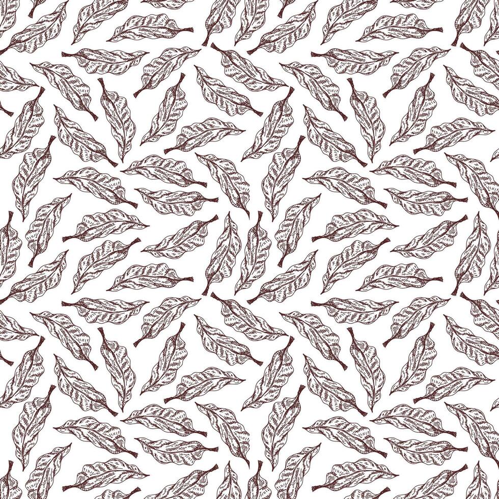 leaf pattern vintage. leaves pattern wallpaper. coffee leaf background. Abstract coffee leaves background. vector