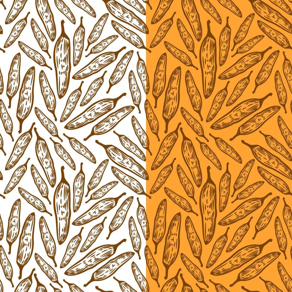 vintage Chili pattern for packaging design. chili peppers pattern background. vintage chili pepper seamless pattern background. doodle Spicy Pepper pattern. vector