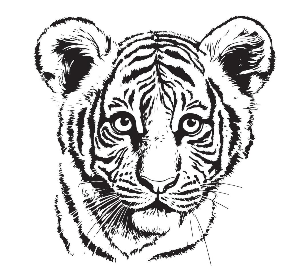 Tiger cub drawn with ink from the hands of a predator vector