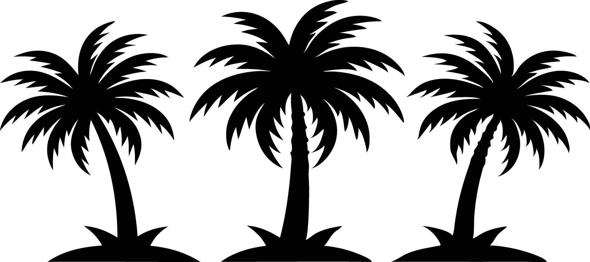 Collection of Palm Tree Silhouette Vectors