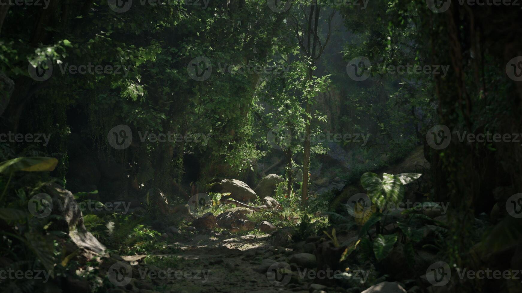 A scenic dirt path surrounded by lush forest in New Zealand. mountain path photo
