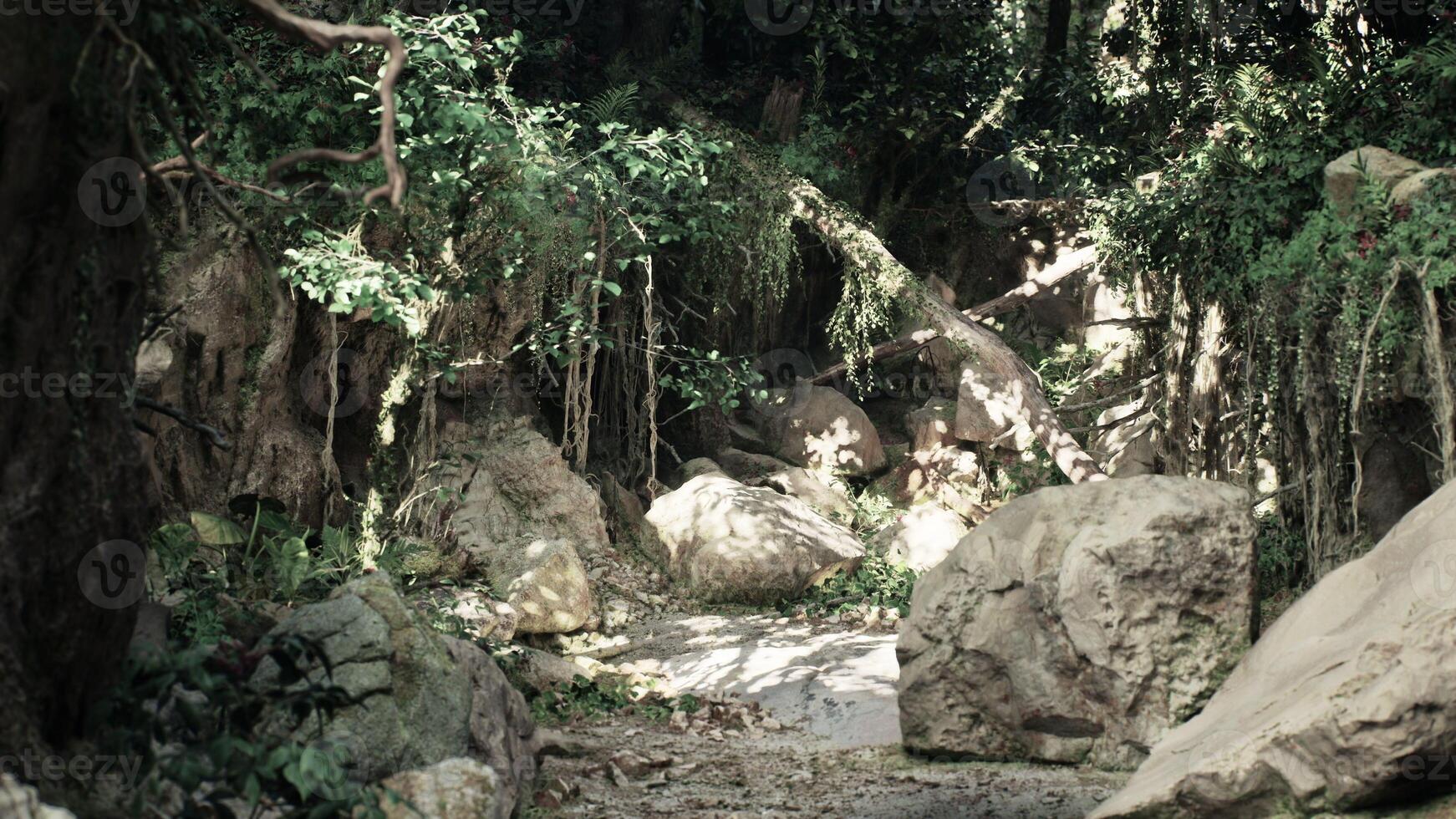 Dirt Road Winding Through Rocks and Trees. mountain path photo