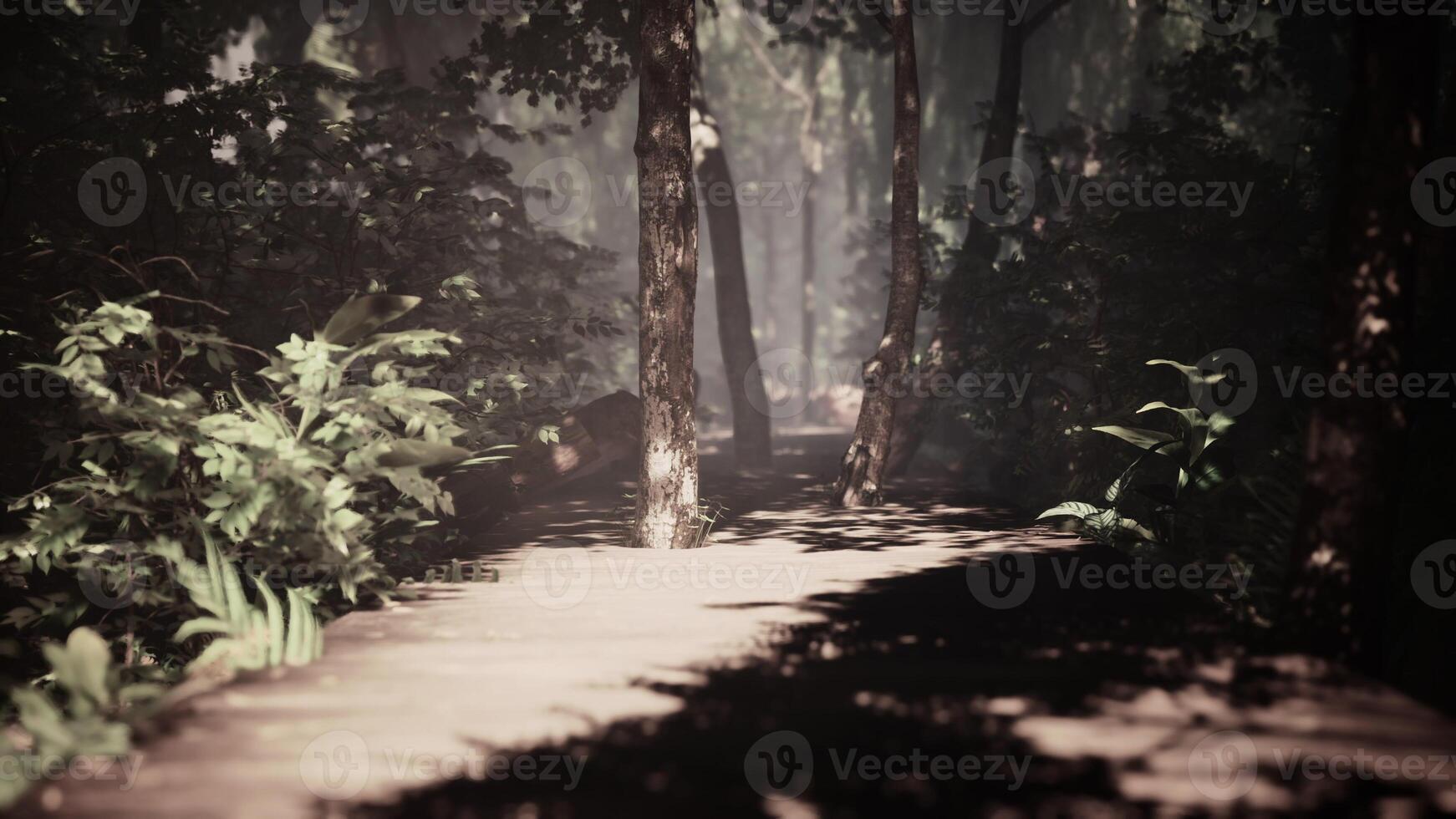 old wooden trail twists through a jungle illuminated by sunshine photo