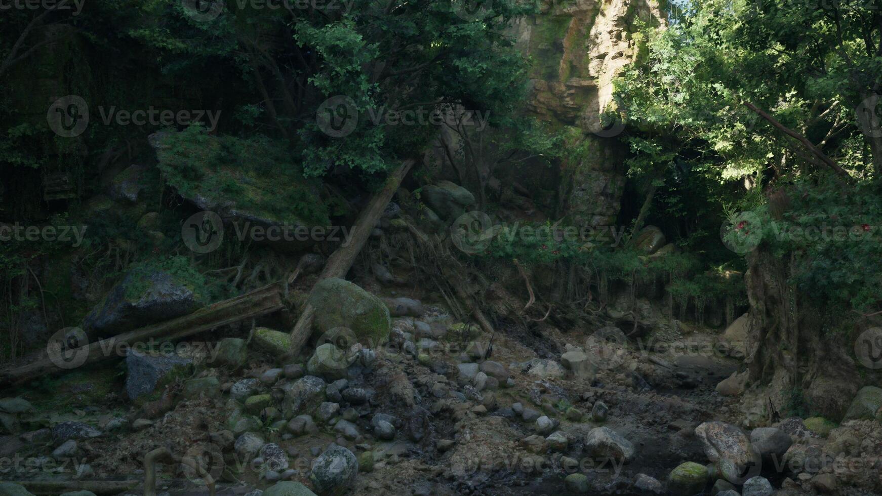 A serene stream flowing through a vibrant Australian rainforest. mountain path photo