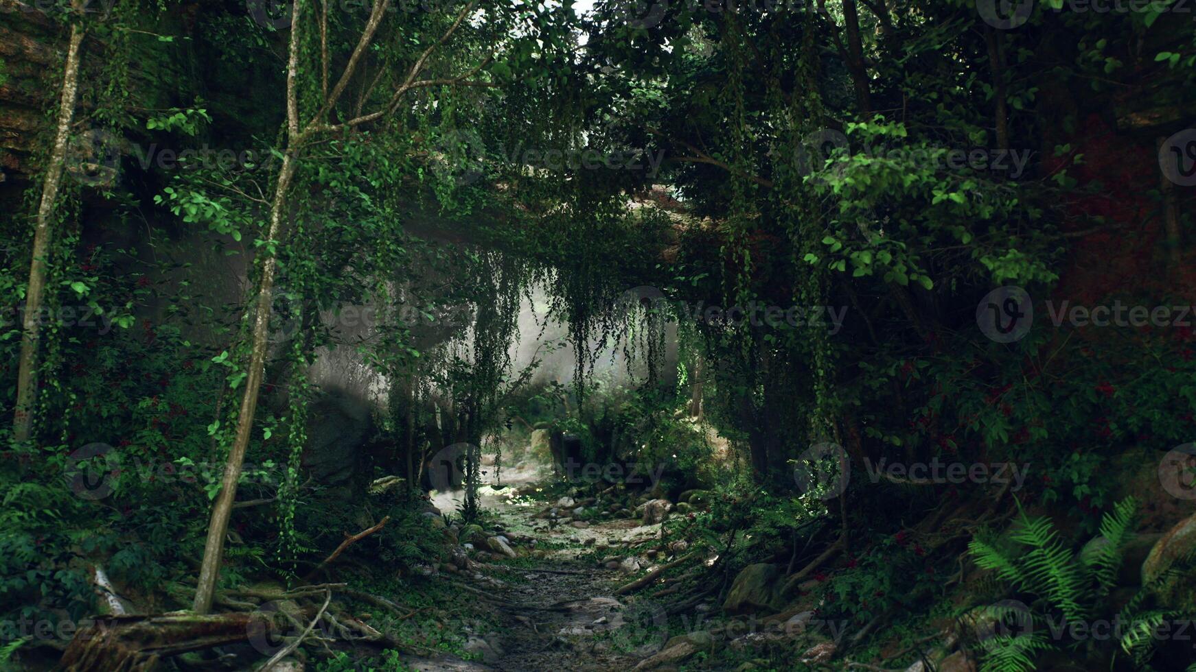 Dirt Path Through Dense Forest. mountain path photo