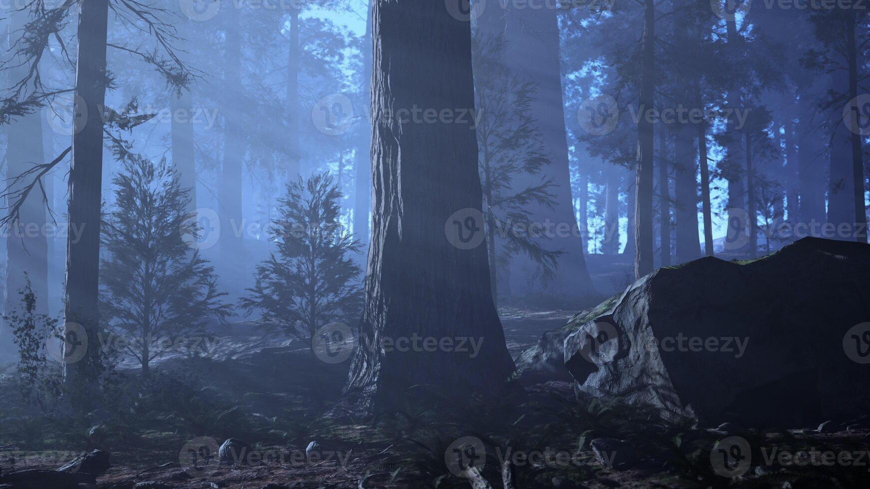 A foggy forest filled with lots of trees. dark forest photo