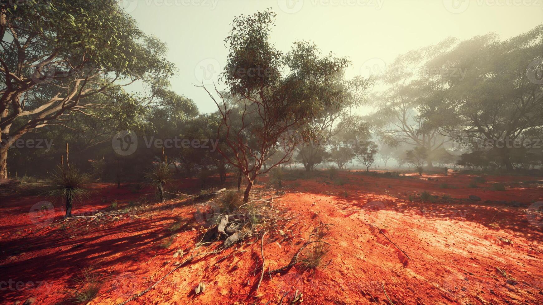 Sunny Dirt Road Surrounded by Trees photo