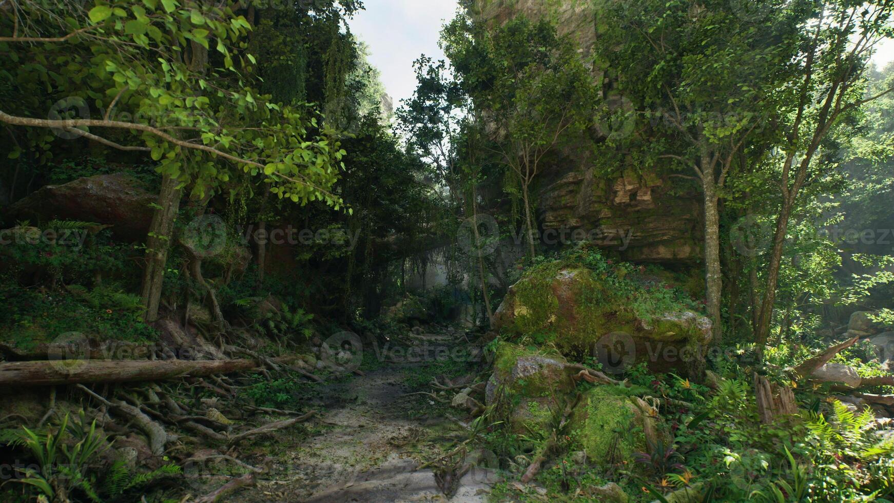 Dirt Road Surrounded by Trees and Rocks. mountain path photo