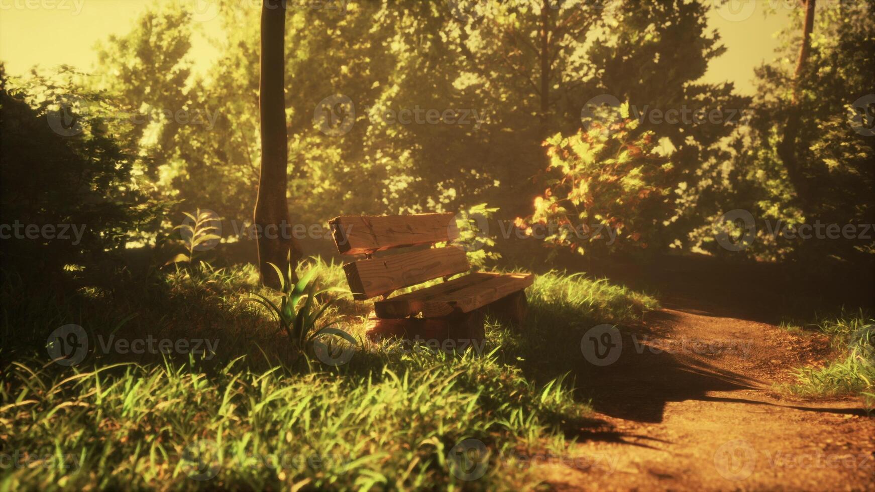 A park bench sitting under different types of trees and bushes around the bench photo