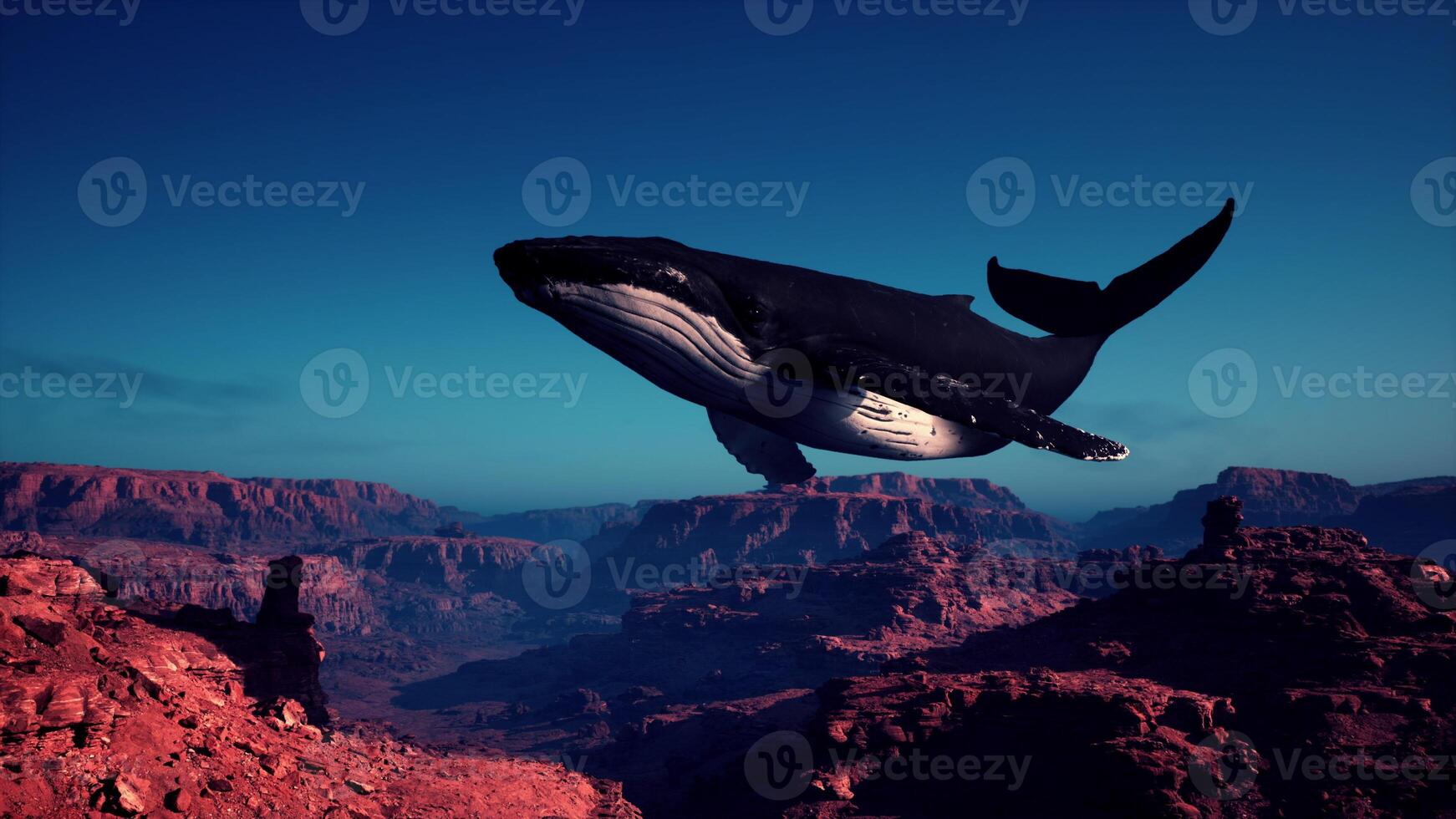 Giant Whale Floating in Air photo