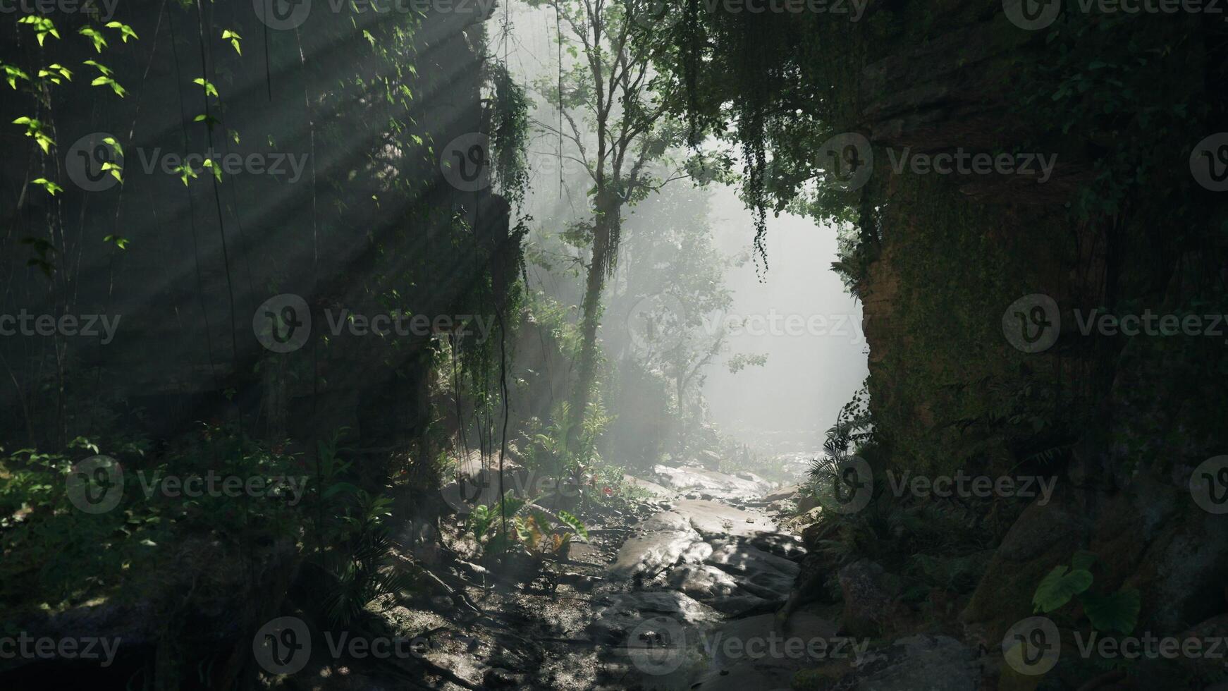 A serene stream flowing through a vibrant green forest. mountain path photo