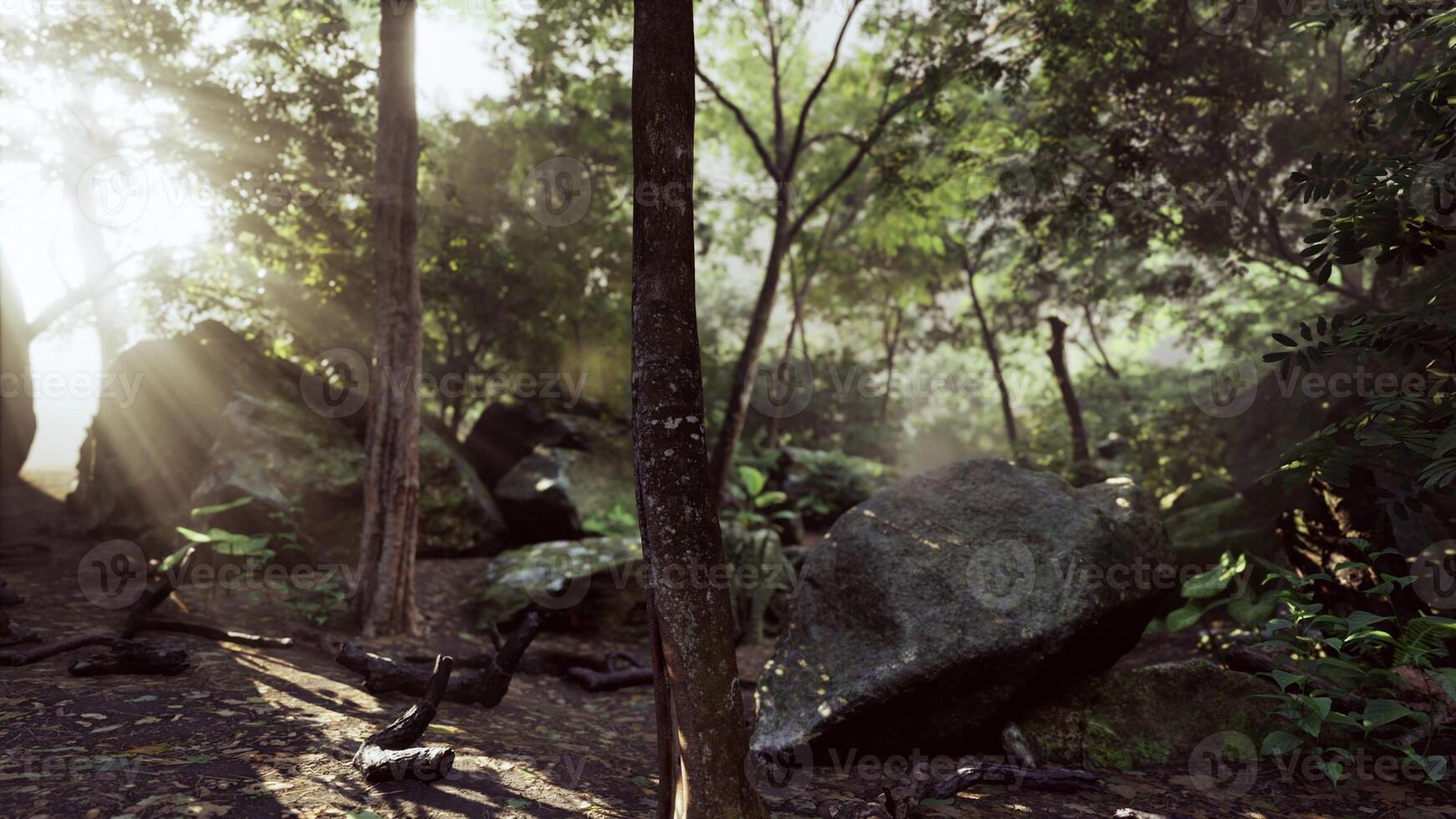 Majestic Rock Amidst Sunlit Tropical Forest photo