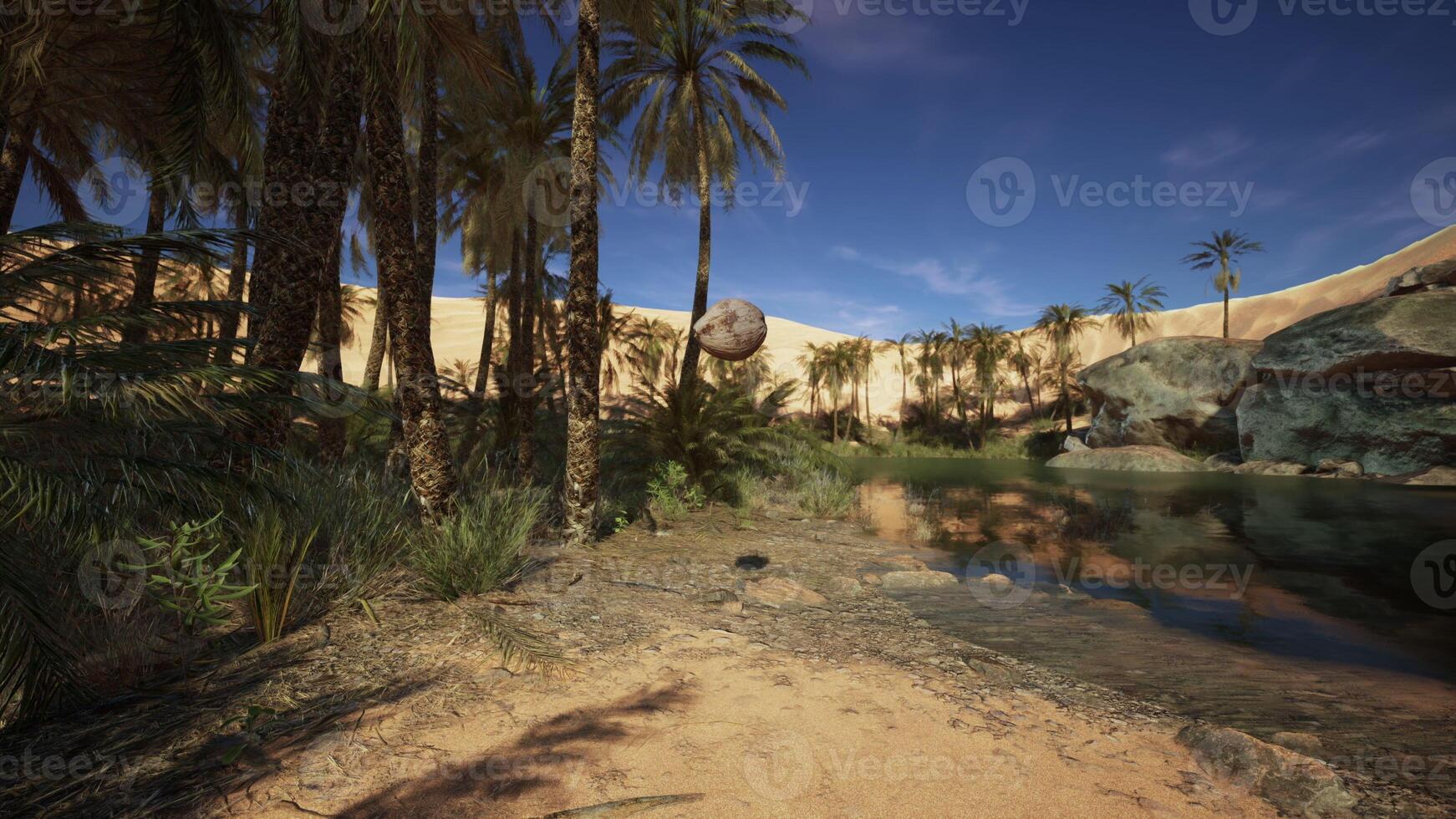 Palm Tree with Falling Coconuts onto the Sand photo