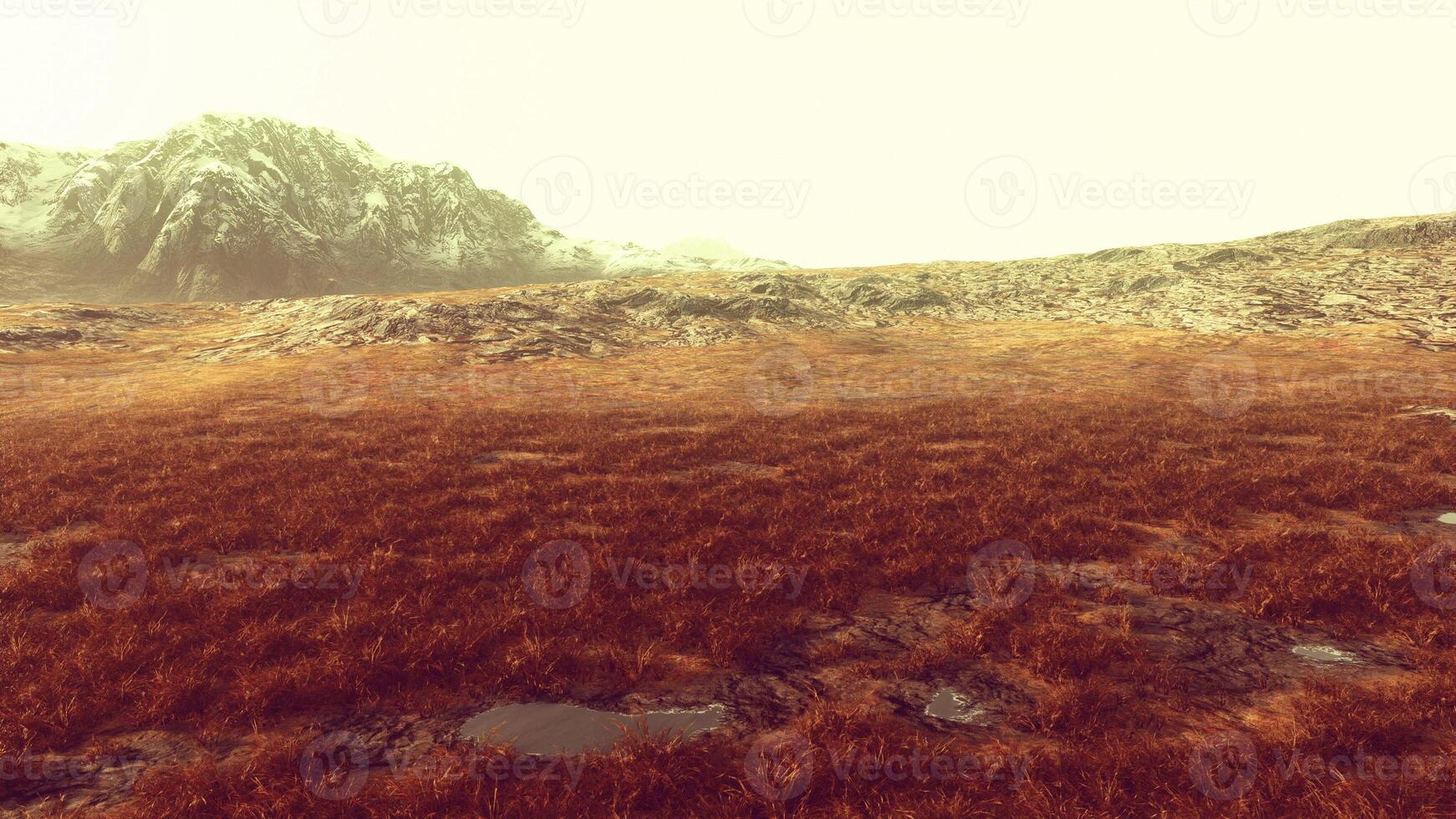 Grassy Field With Stream, Natural Beauty in the Peru Mountains photo