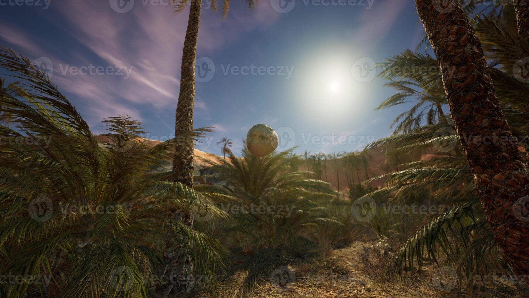 The sun is shining through the palm trees photo