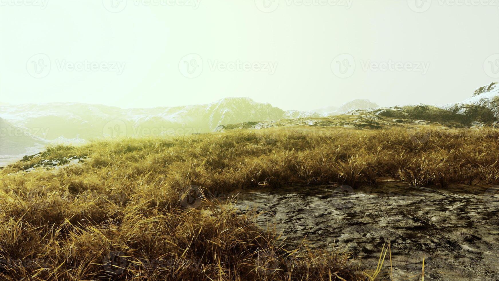 Grassy Hill With Water in Background photo