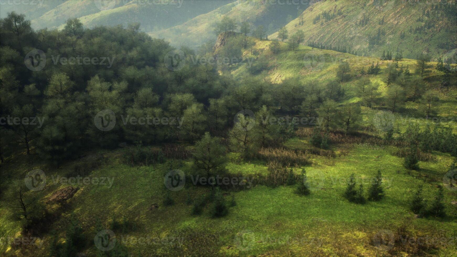 Aerial View of Lush Green Valley in German Alps photo