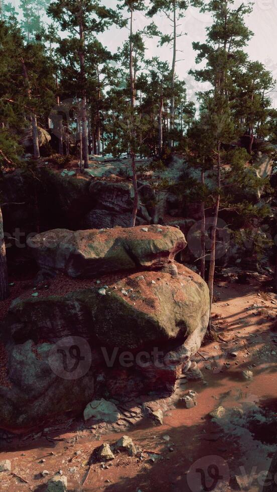 Group of Large Rocks Atop Forest photo
