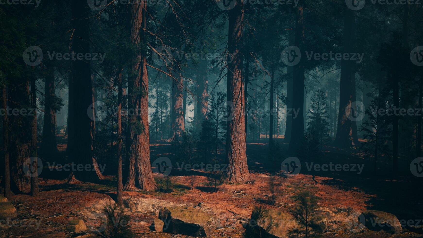 Sequoia Forest Painting With Trees and Rocks. dark forest photo
