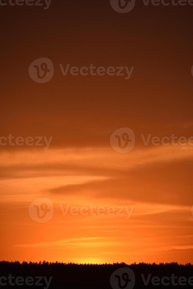 A bright orange sunset and a black forest beyond the horizon. Beautiful sunset. photo
