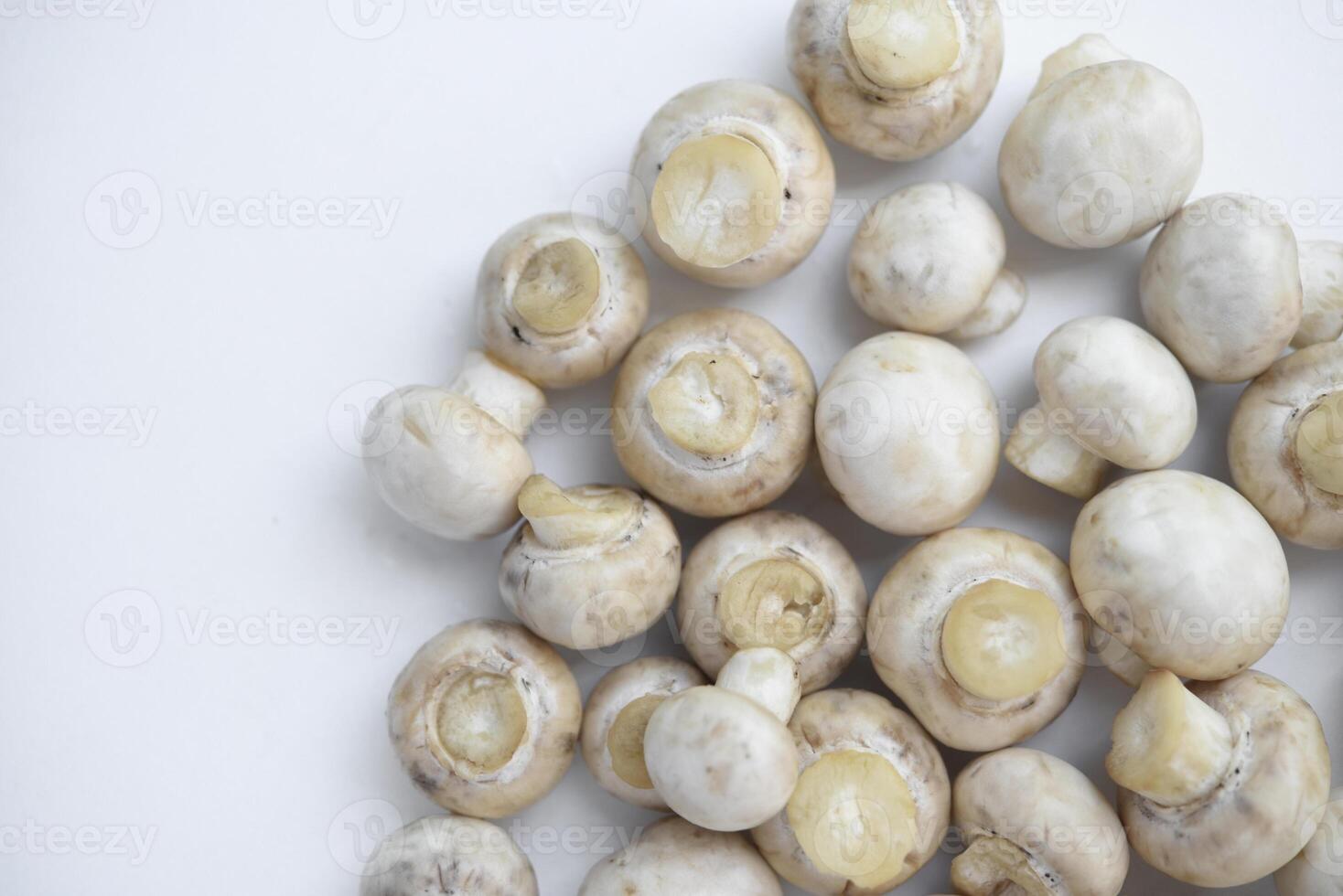 Porcini mushrooms on a white background. The mushrooms are cleaned in the kitchen. photo