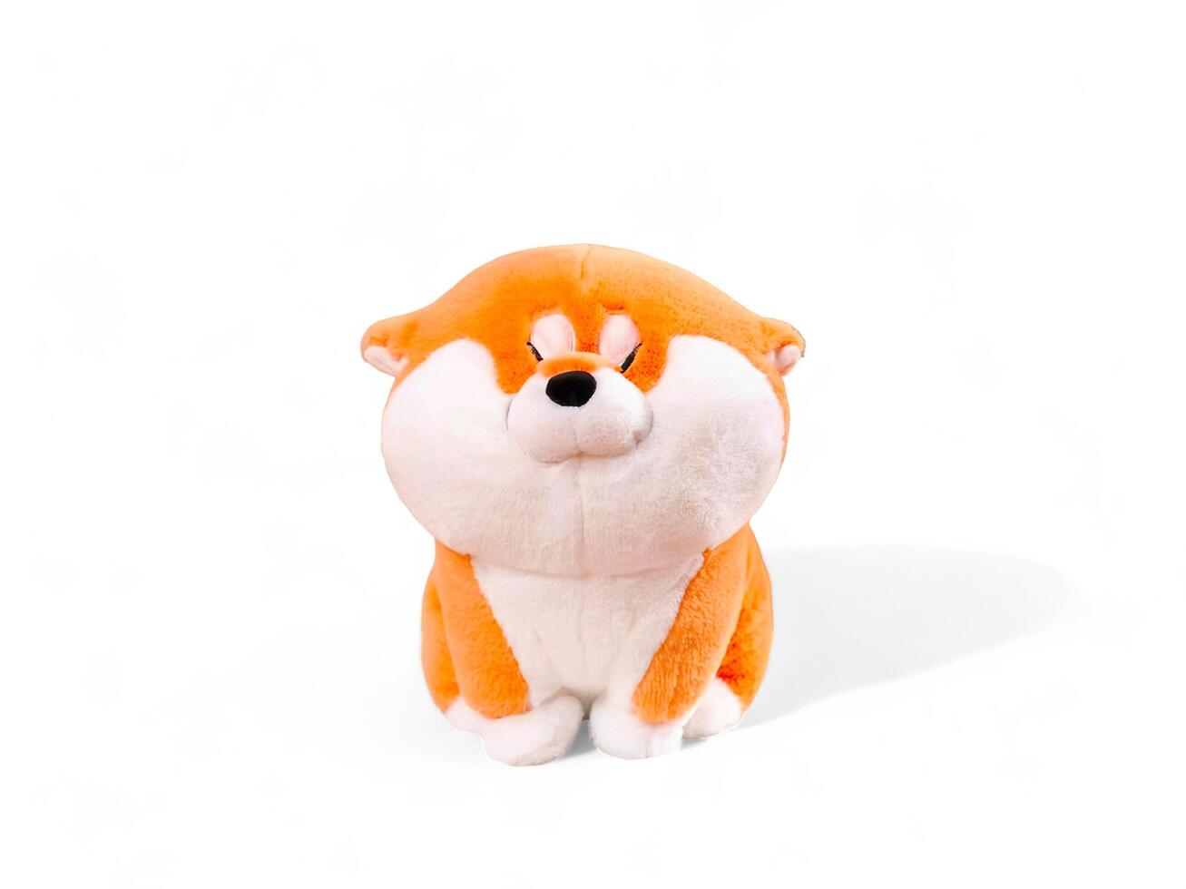 Cute stuffed akita dog on a white background photo