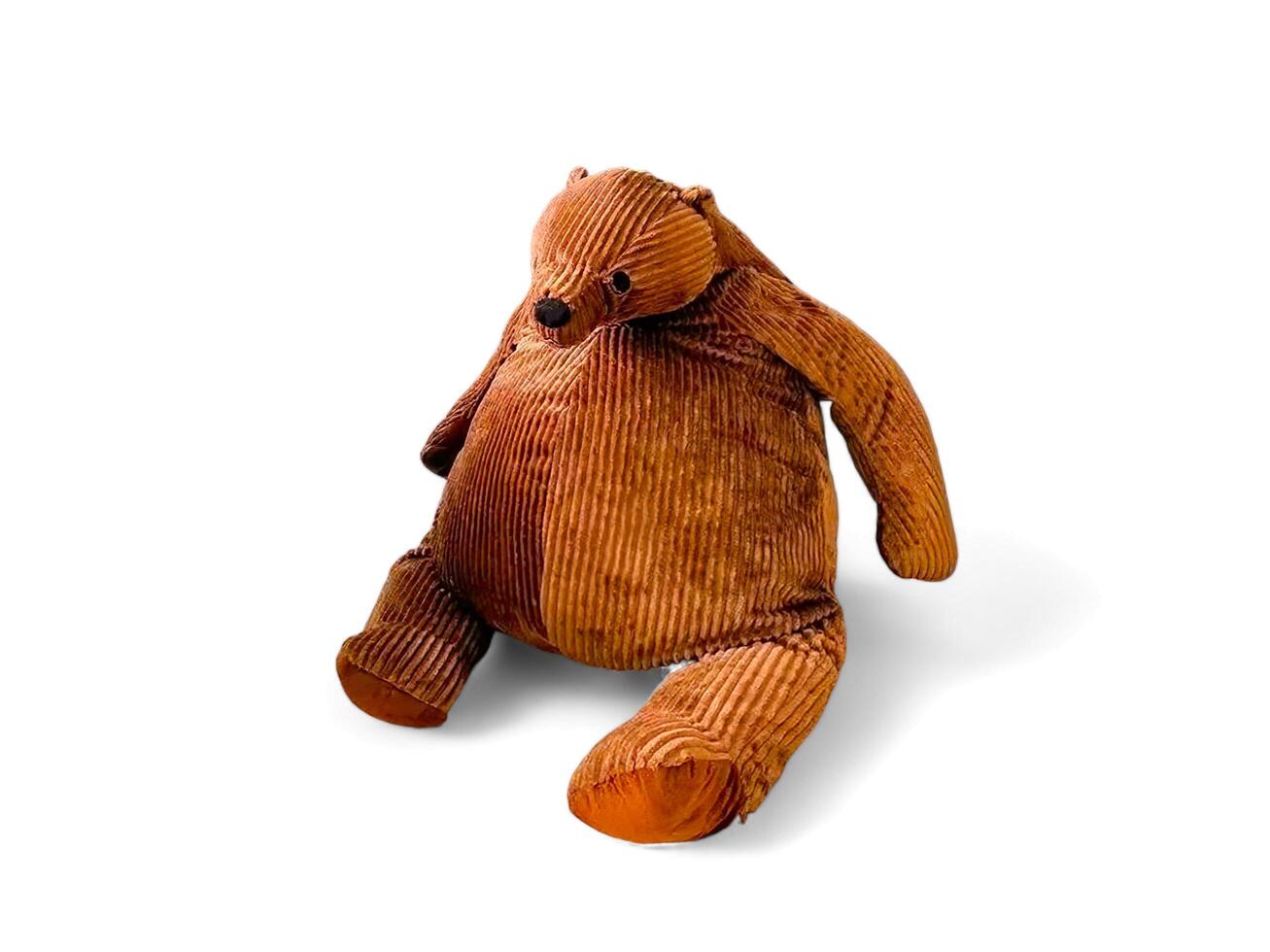 brown teddy bear on a white background photo