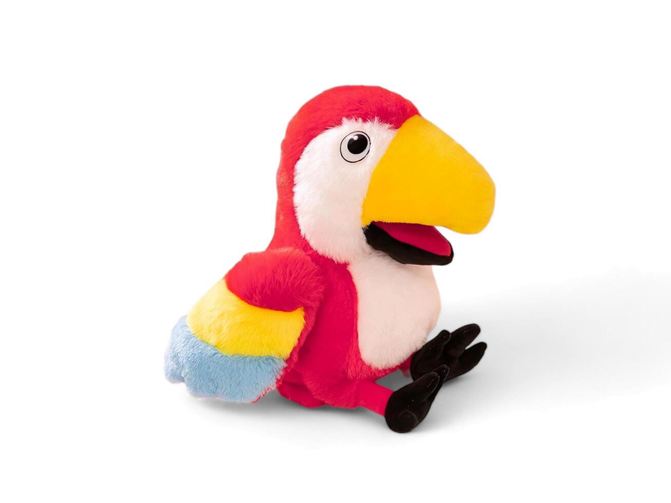 Stuffed parrot on a white background photo