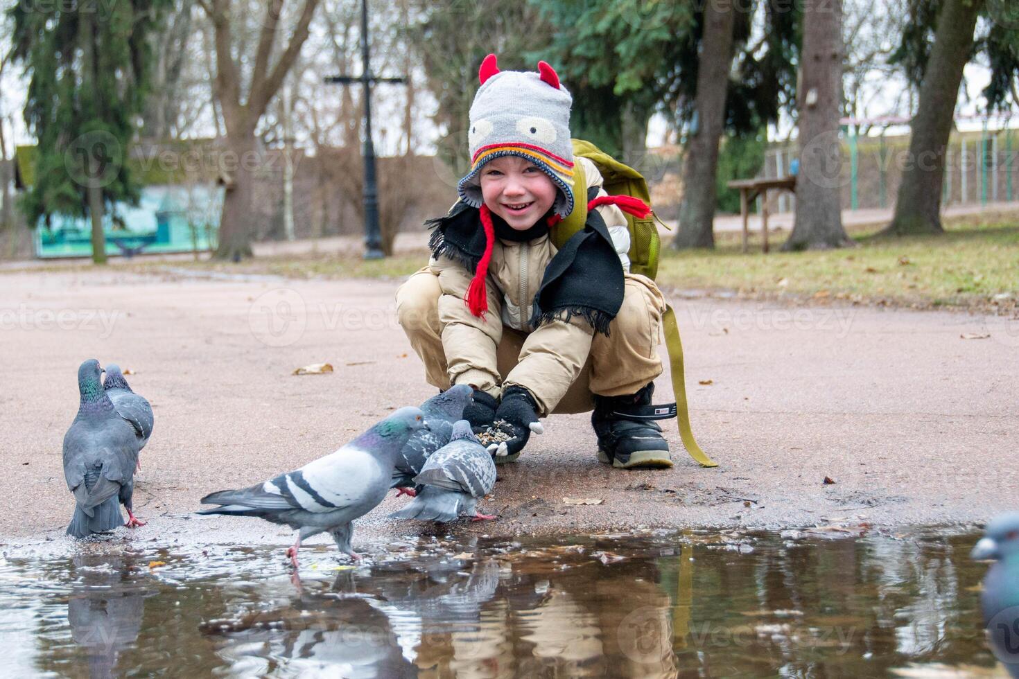Cute little boy in green rubber boots is feeding pigeons from the bench. Image with toning and selective focus photo
