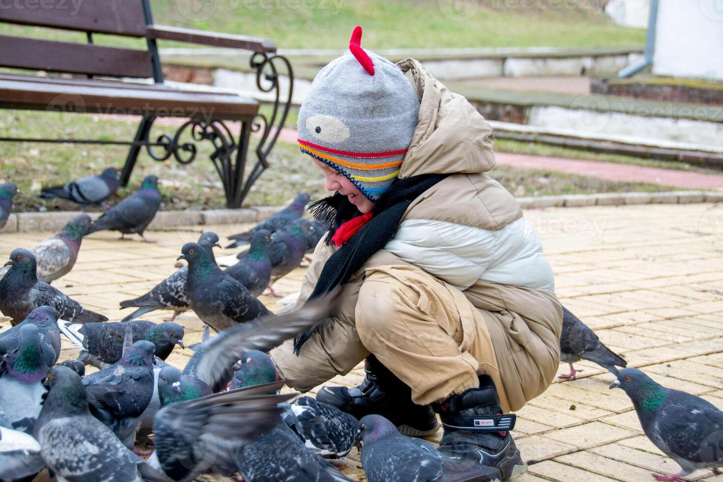 Cute little boy in green rubber boots is feeding pigeons from the bench. Image with toning and selective focus photo