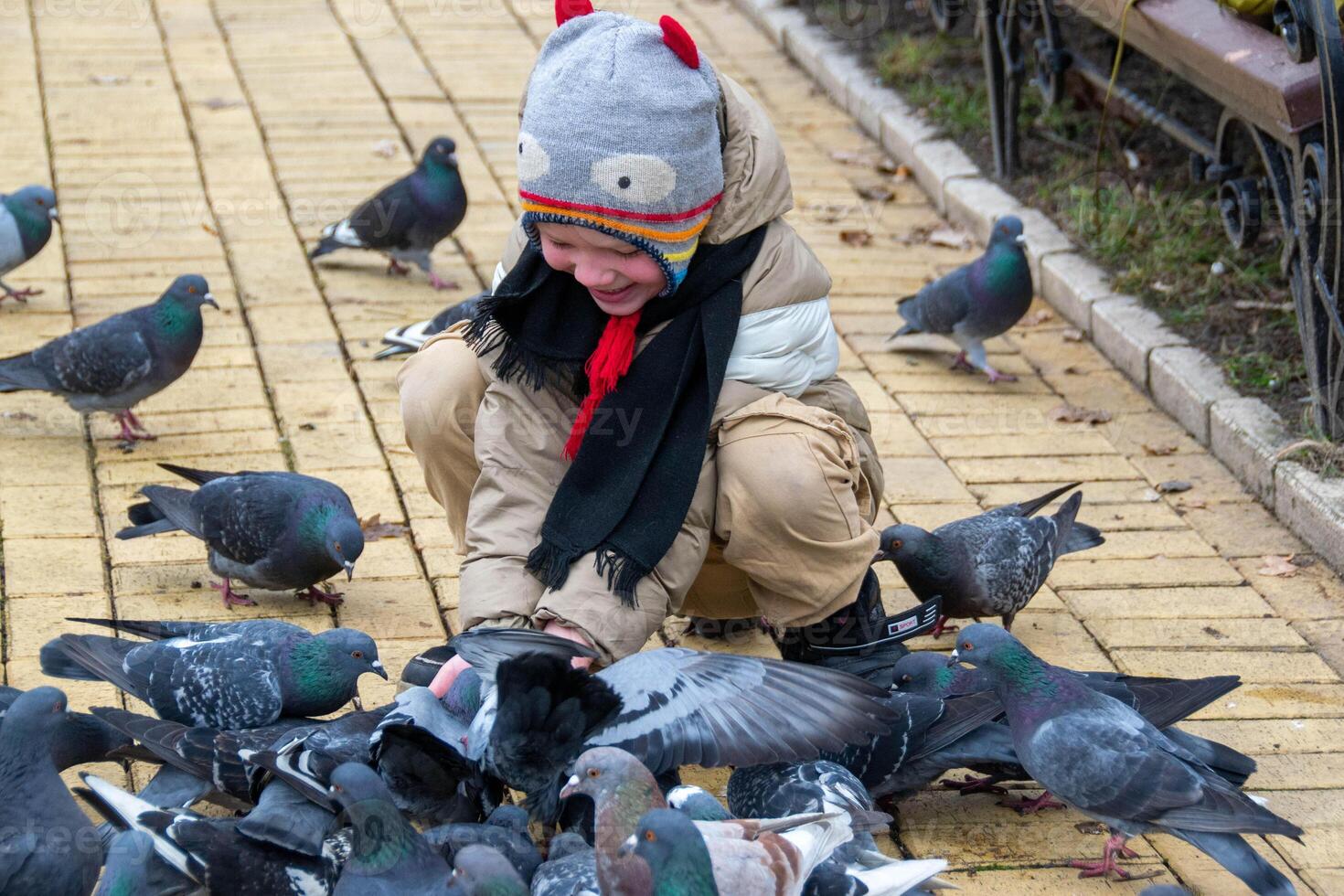 Cute little boy in green rubber boots is feeding pigeons from the bench. Image with toning and selective focus photo