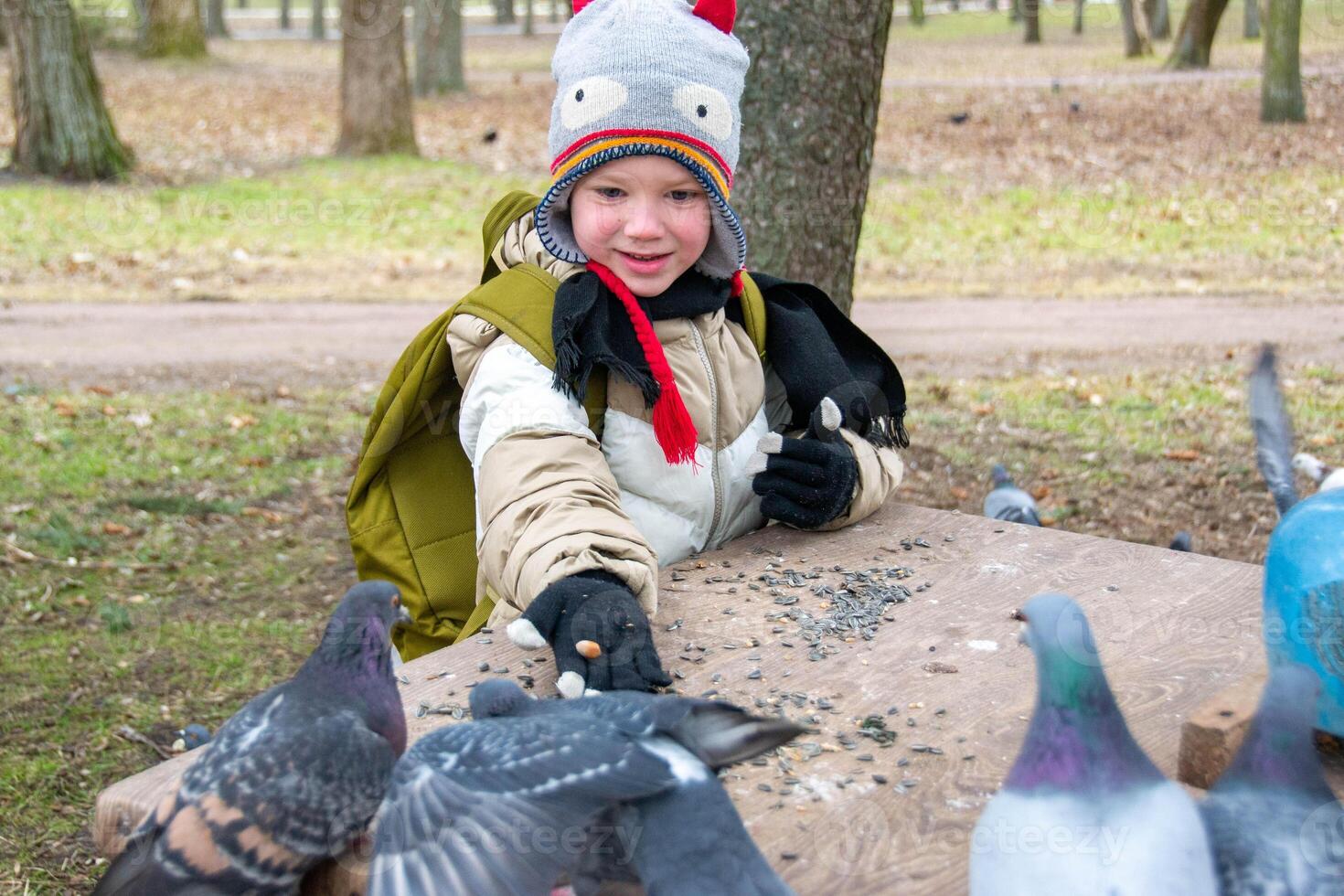 Cute little boy in green rubber boots is feeding pigeons from the bench. Image with toning and selective focus photo