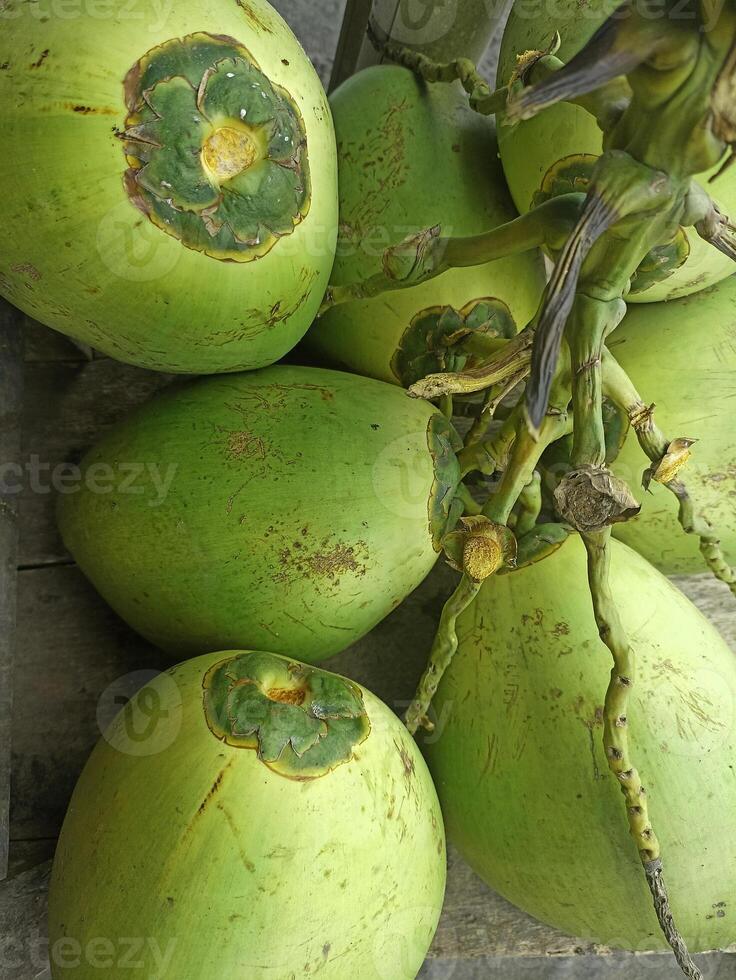 We call this fruit degan or young green coconut which is used for refreshing and healthy drinks photo