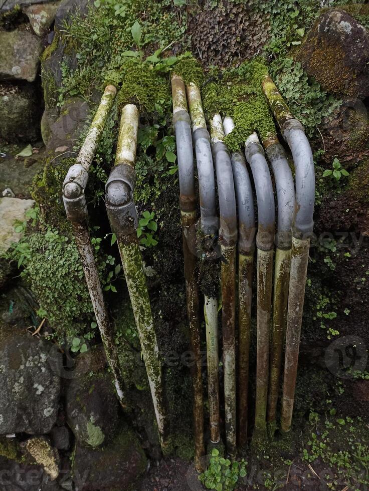Several elbow pipes are covered in moss to distribute clean water to residents' homes photo