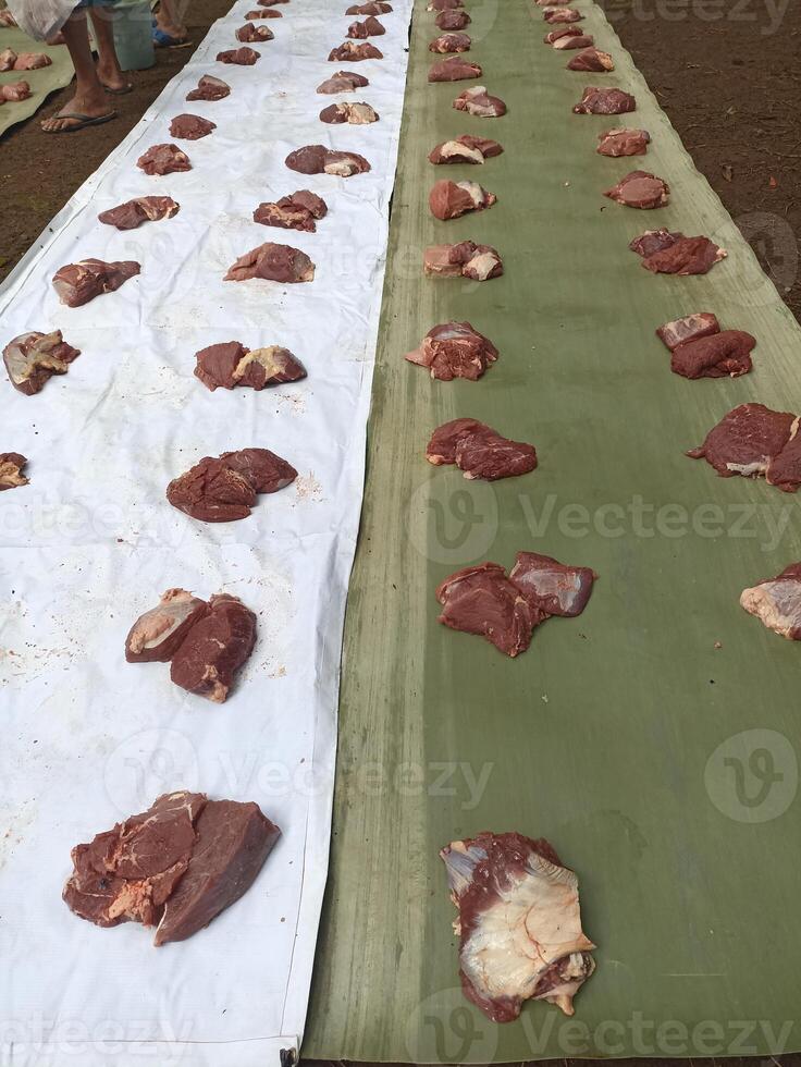 the process of managing and distributing beef sacrificial animals to local residents during the Eid al-Adha holiday photo