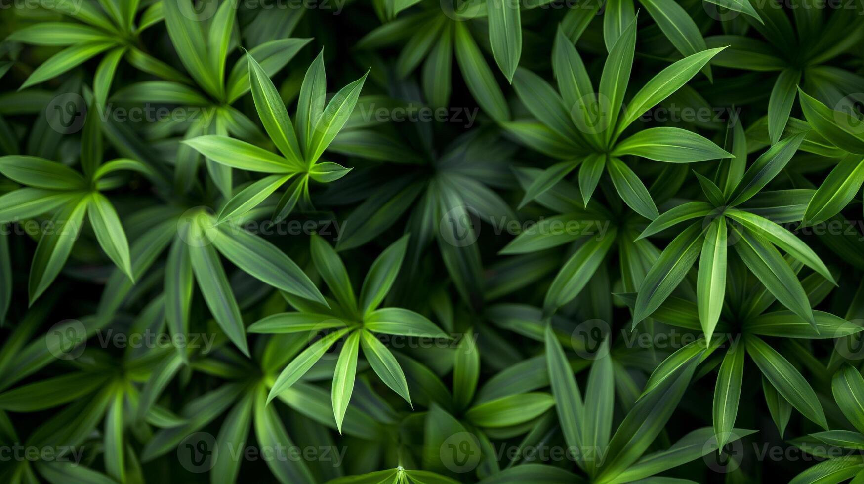Green and colored tropical leaves on bright colorful background photo