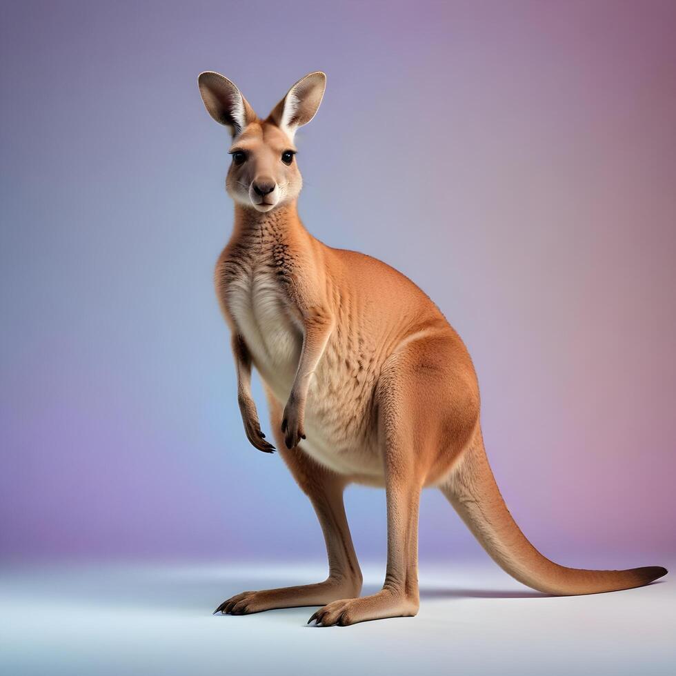 a kangaroo standing on its hind legs in front of a gray background photo