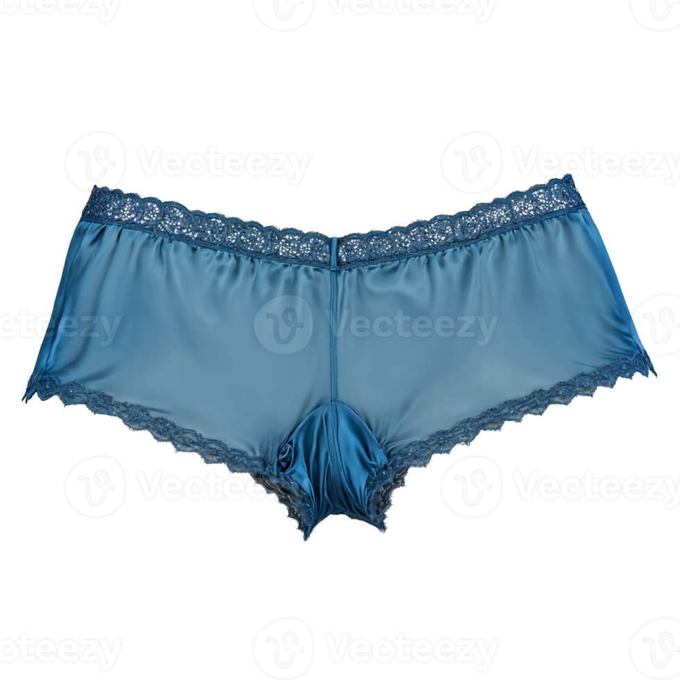Blue Silk Boyshorts with Cut Outs A pair of blue silk boyshorts with cut outs png
